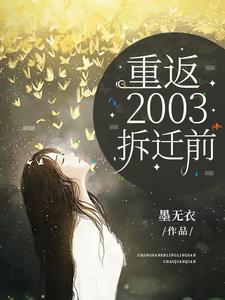 重返2003完整版